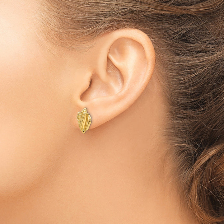 14k Yellow Gold Conch Shell Earrings