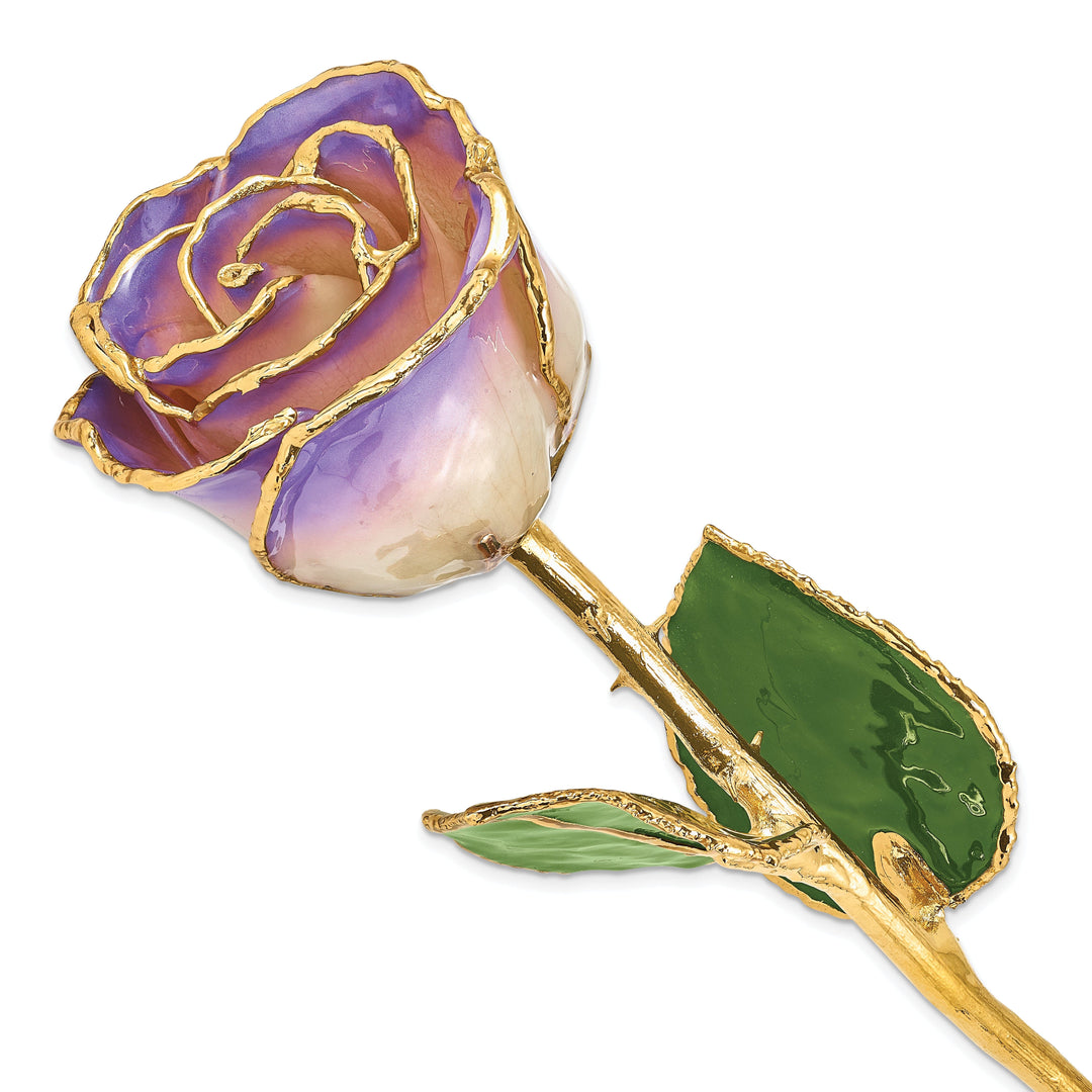 24k Gold Plated Trim White and Blue Opal Rose
