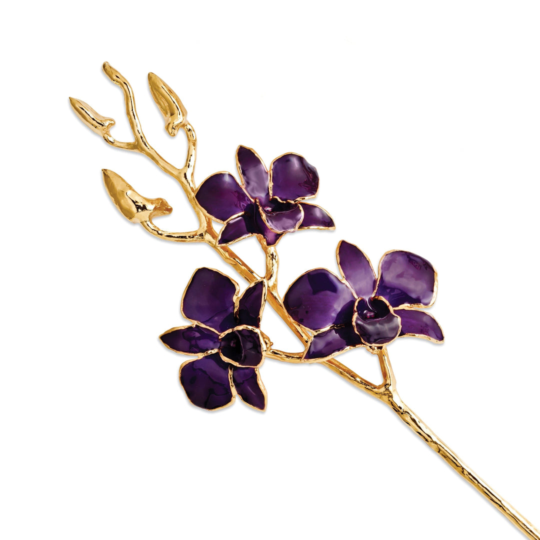24k Gold Plated Purple Dendrobium Orchid Stem