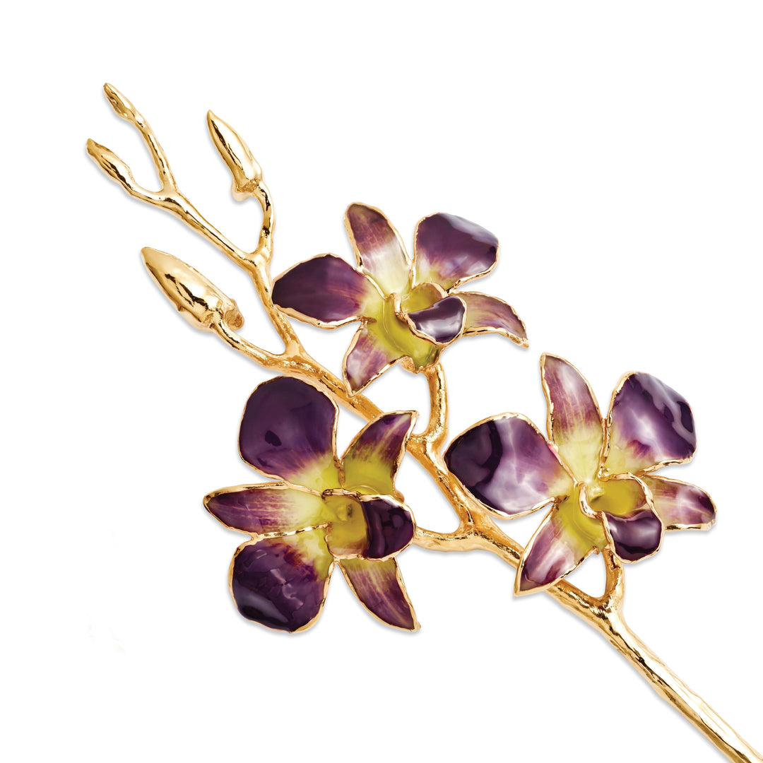 24k Gold Plated Purple Yellow Dendrobium Orchid