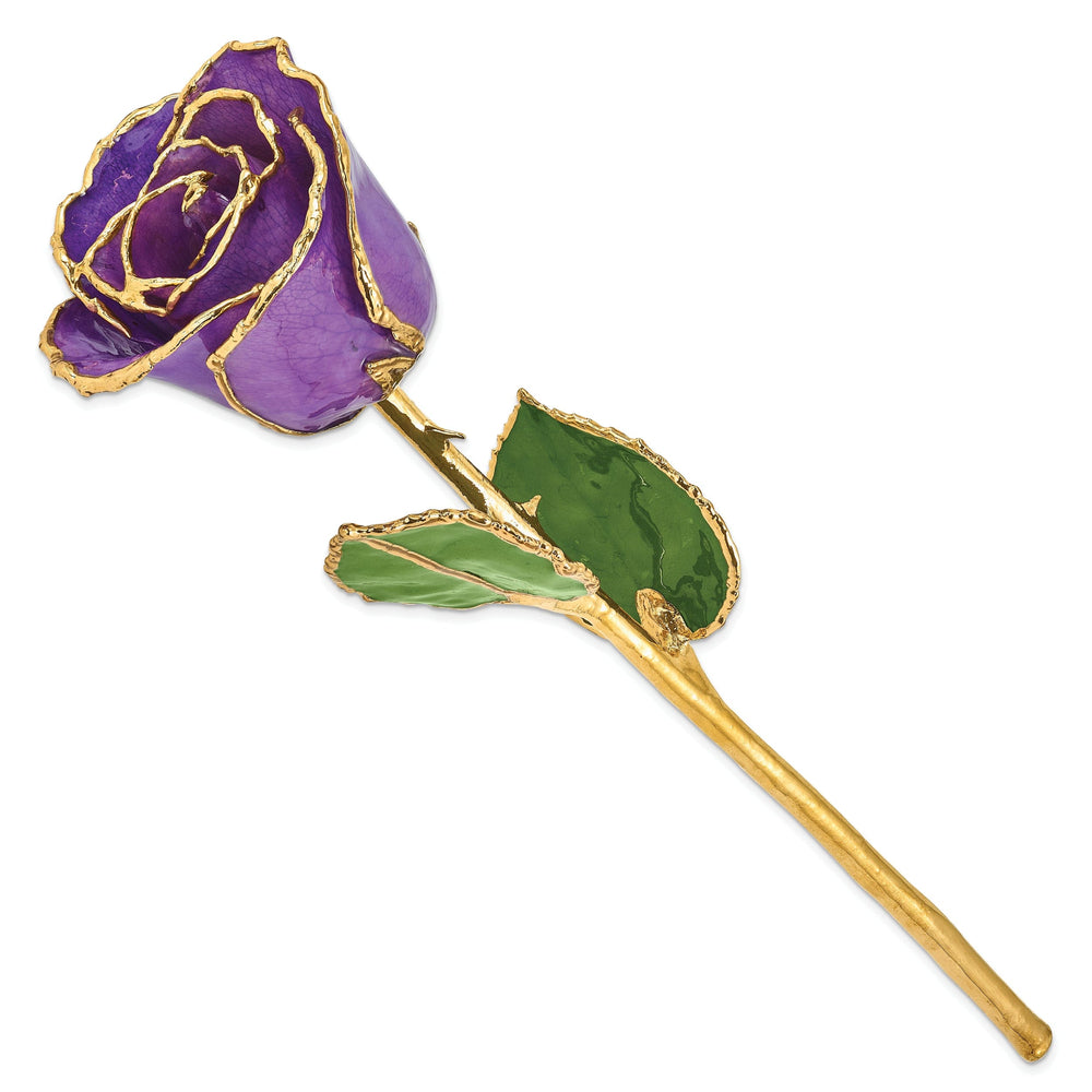 24k Gold Plated Trim Lilac Rose