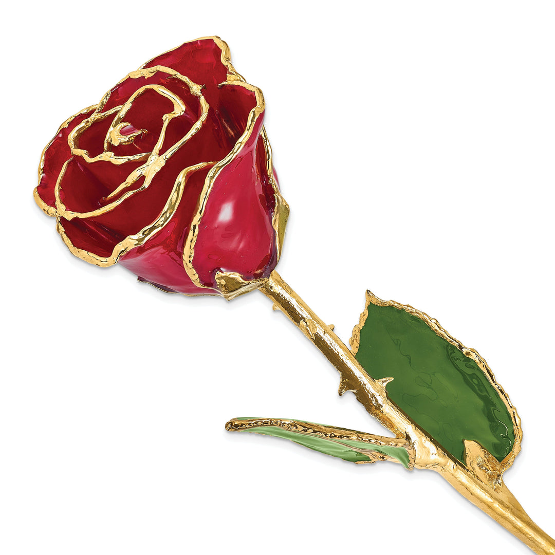 24k Gold Plated Trim Red Rose