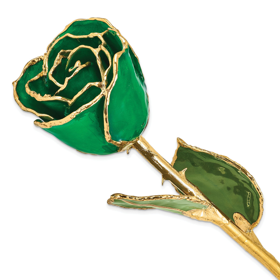 24k Gold Plated Trim Green Rose