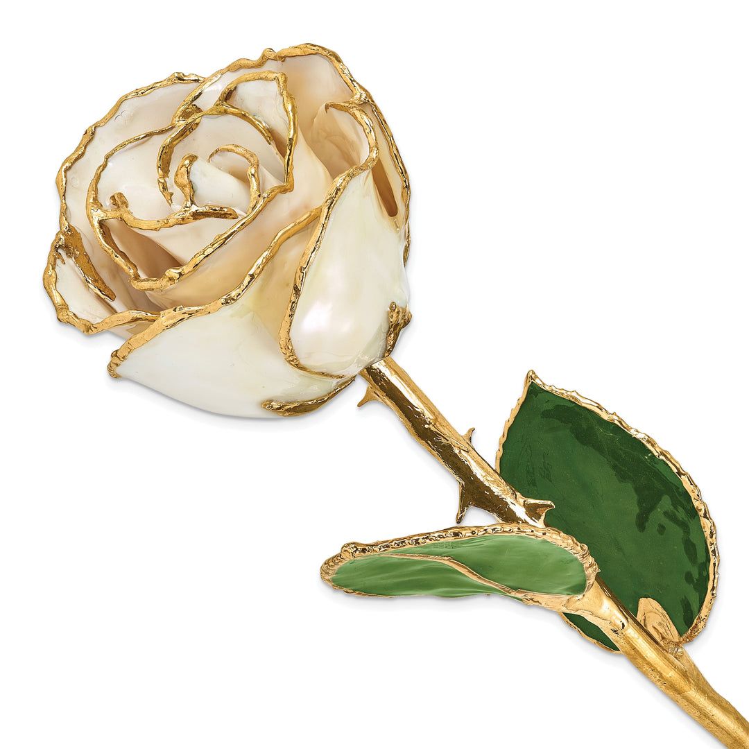 24k Gold Plated Trim White Satin Rose
