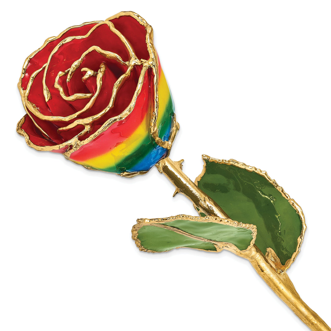 24k Gold Plated Trim Rainbow Rose