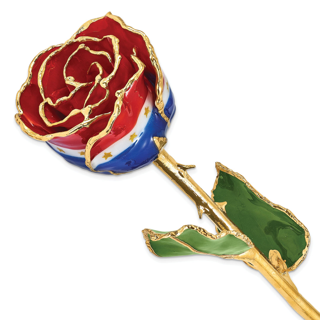 24k Gold Plated Trim Liberty Rose