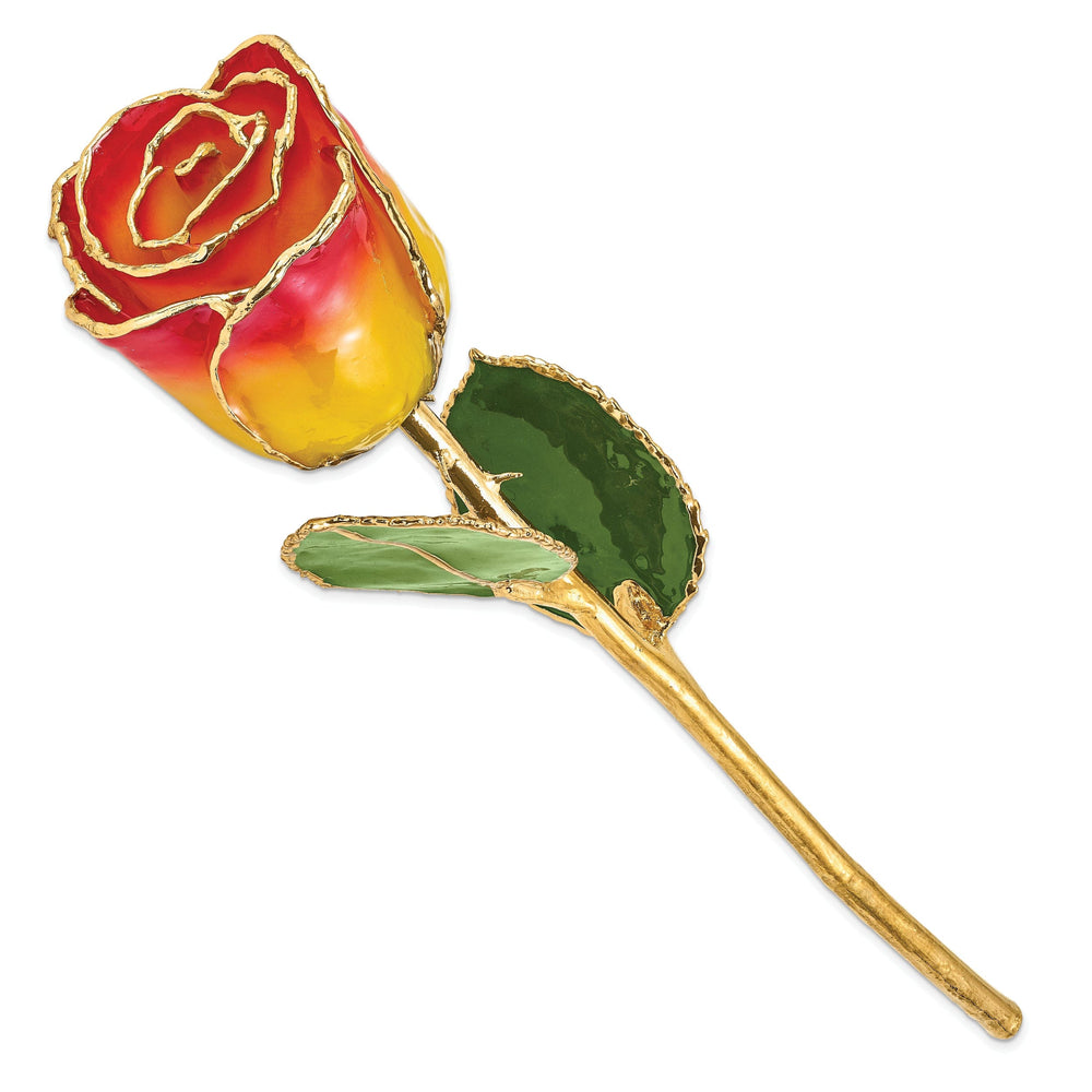 24k Gold Plated Trim Yellow Red Rose