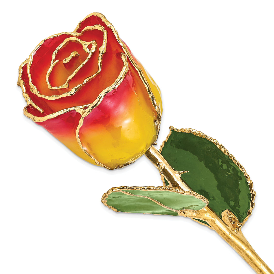 24k Gold Plated Trim Yellow Red Rose
