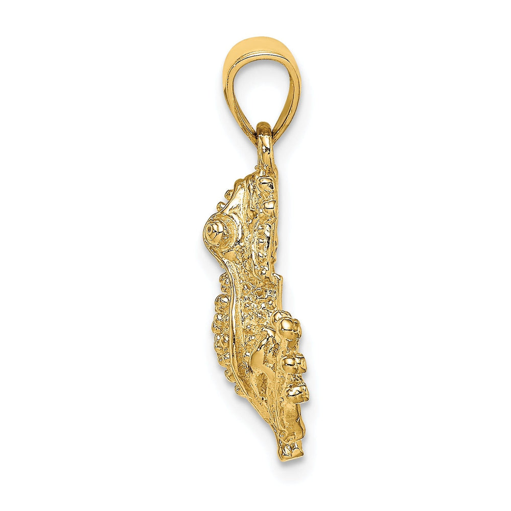 14K Yellow Gold Textured Polished Finish 2-Dimensional Frog Charm Pendant