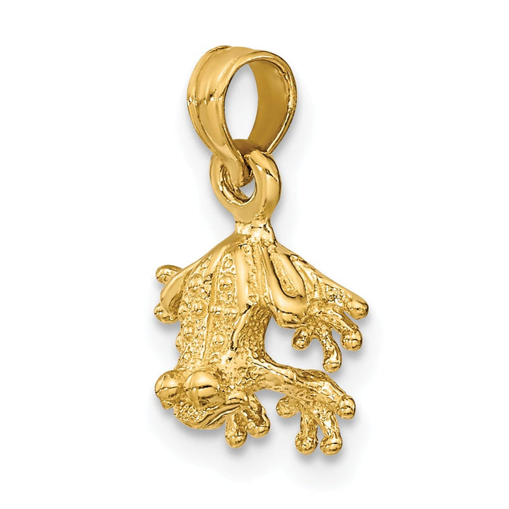 14K Yellow Gold 3-Dimensional Textured Polished Finish Mini Frog Facing Down Design Charm Pendant