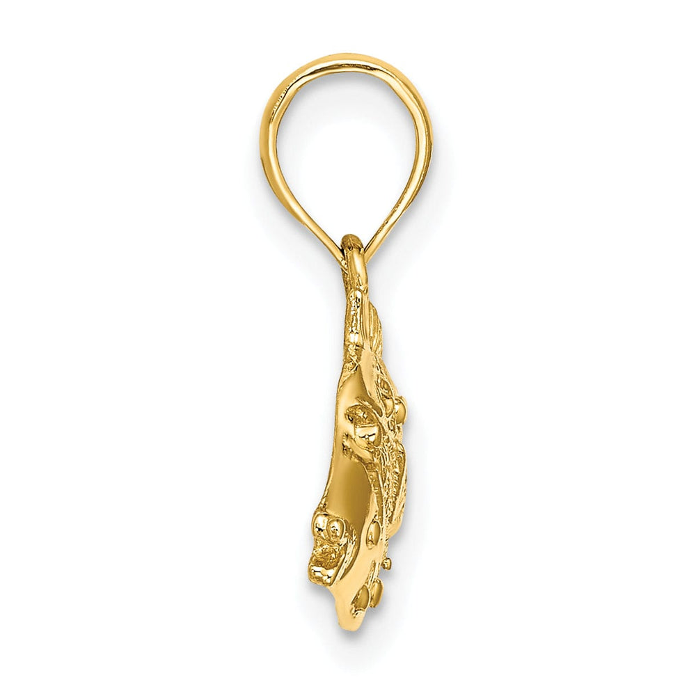 14K Yellow Gold 2-Dimensional Polished Textured Finish Fish Charm Pendant