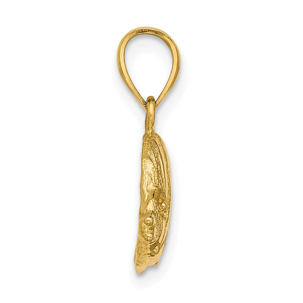 14K Yellow Gold Textured Polished Finish Fish 2D Design Charm Pendant