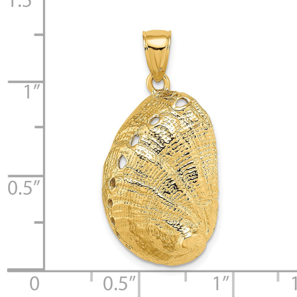 14K Yellow Gold Textured Polished Finish Abalone Shell Charm Pendant