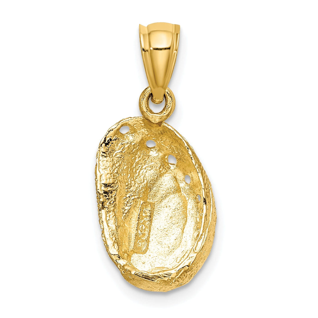 14K Yellow Gold Texture Polished Finish Abalone Shell Charm Pendant