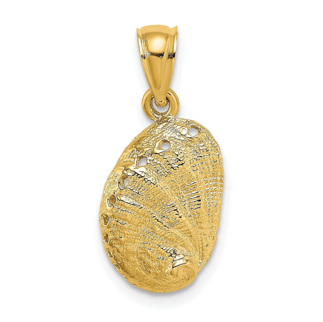 14K Yellow Gold Texture Polished Finish Abalone Shell Charm Pendant