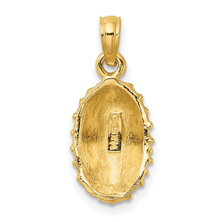 14K Yellow Gold Polished Textured Finish Limpet Shell Charm Pendant