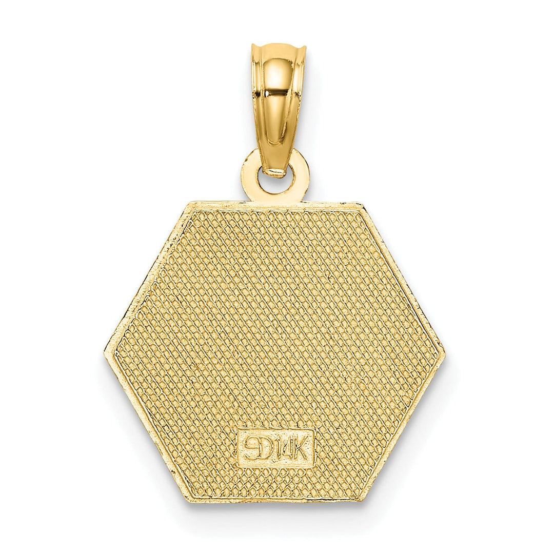 14K Yellow Gold Polished Textured Finish Caduceus Medical Charm Pendant