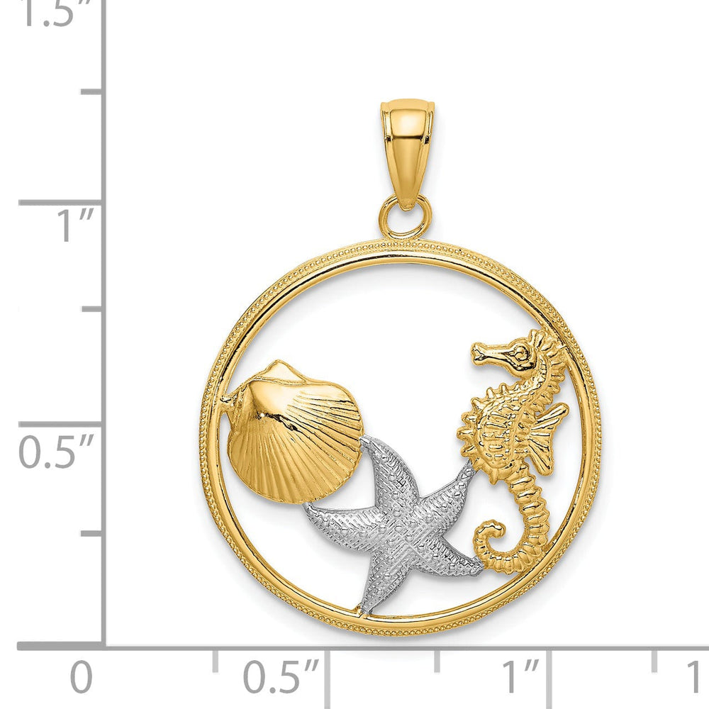 14k Yellow Gold White Rhodium Polished Textured Finish Scallop, Starfish, Seahorse Circle Design Charm Pendant