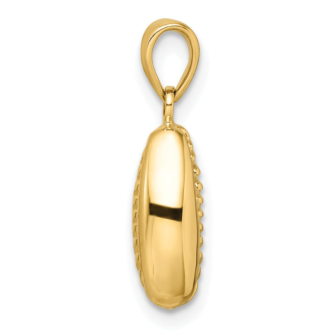 14k Yellow Gold Polished Finish 3-Dimensional Crowrie Shell Charm Pendant