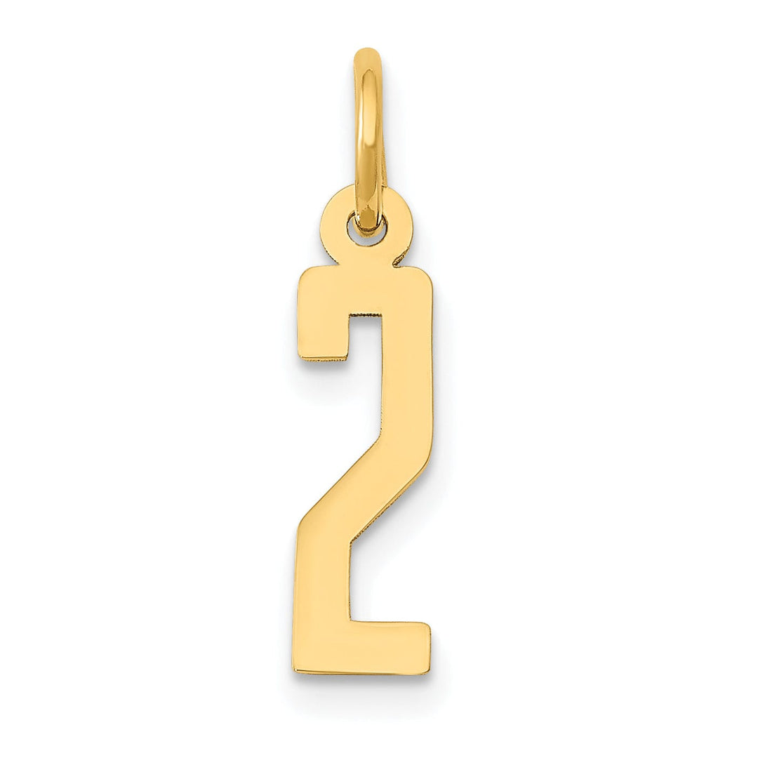 14K Yellow Gold Polished Finish Small Size Elongated Shape Number 2 Charm Pendant