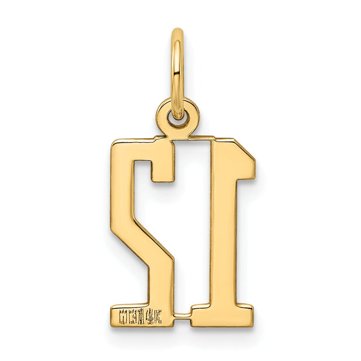 14K Yellow Gold Polished Finish Small Size Elongated Shape Number 12 Charm Pendant