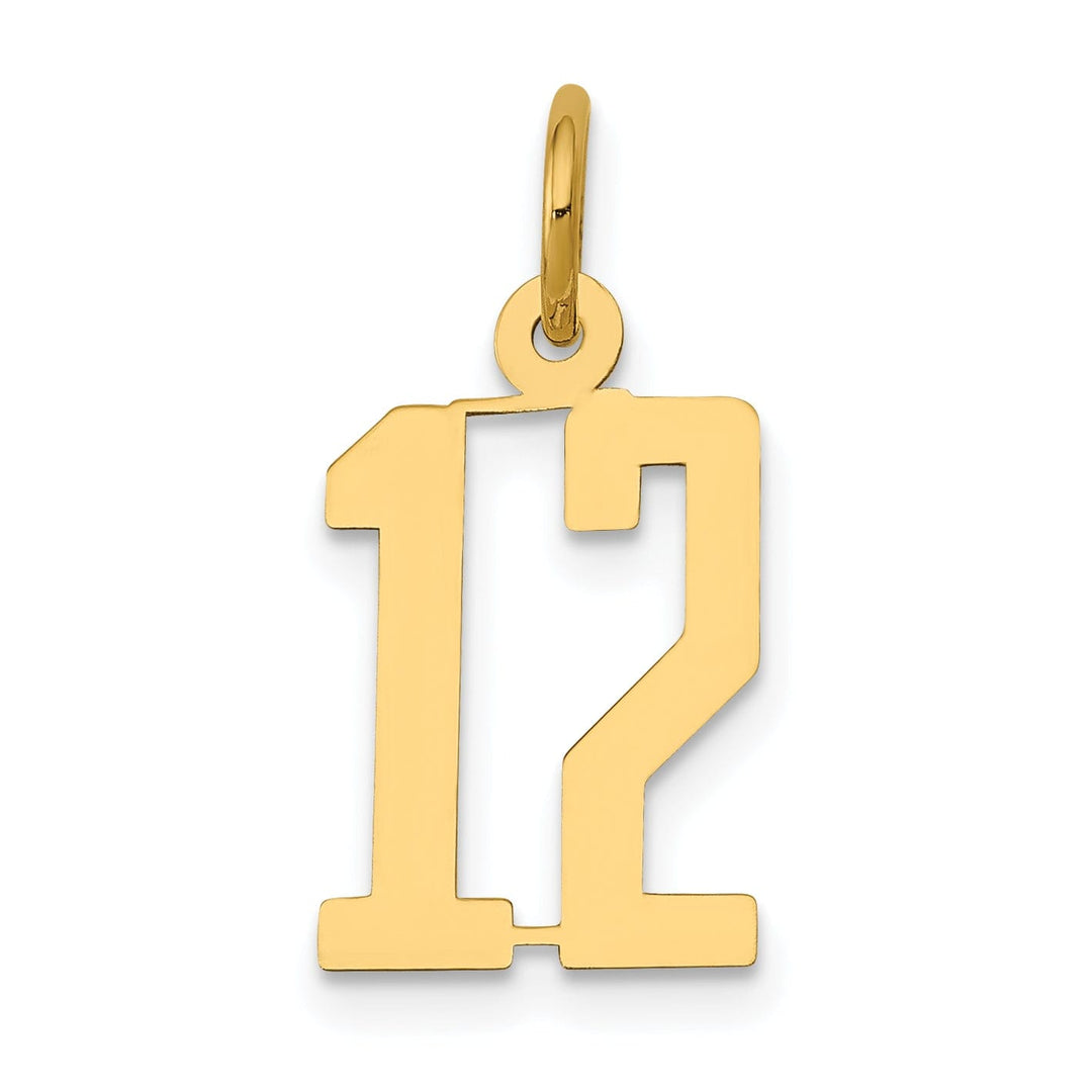 14K Yellow Gold Polished Finish Small Size Elongated Shape Number 12 Charm Pendant