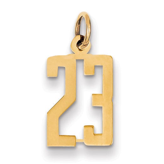 14K Yellow Gold Polished Finish Small Size Elongated Shape Number 23 Charm Pendant