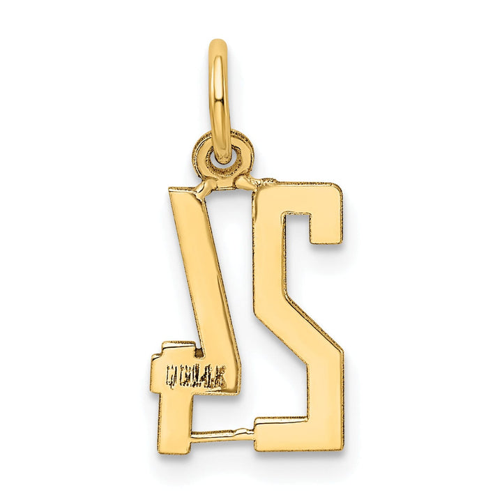 14K Yellow Gold Polished Finish Small Size Elongated Shape Number 24 Charm Pendant