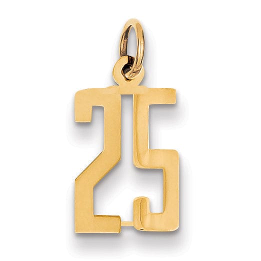 14K Yellow Gold Polished Finish Small Size Elongated Shape Number 25 Charm Pendant