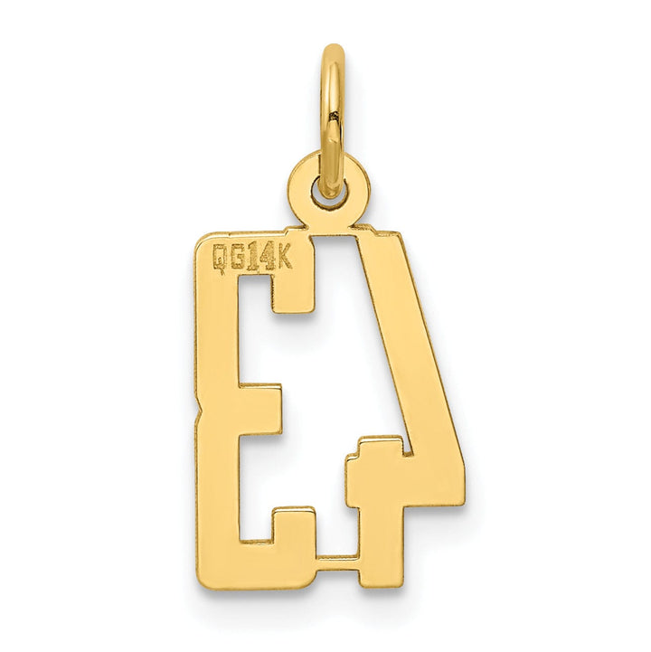 14K Yellow Gold Polished Finish Small Size Elongated Shape Number 43 Charm Pendant