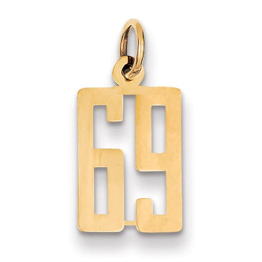 14K Yellow Gold Polished Finish Small Size Elongated Shape Number 69 Charm Pendant