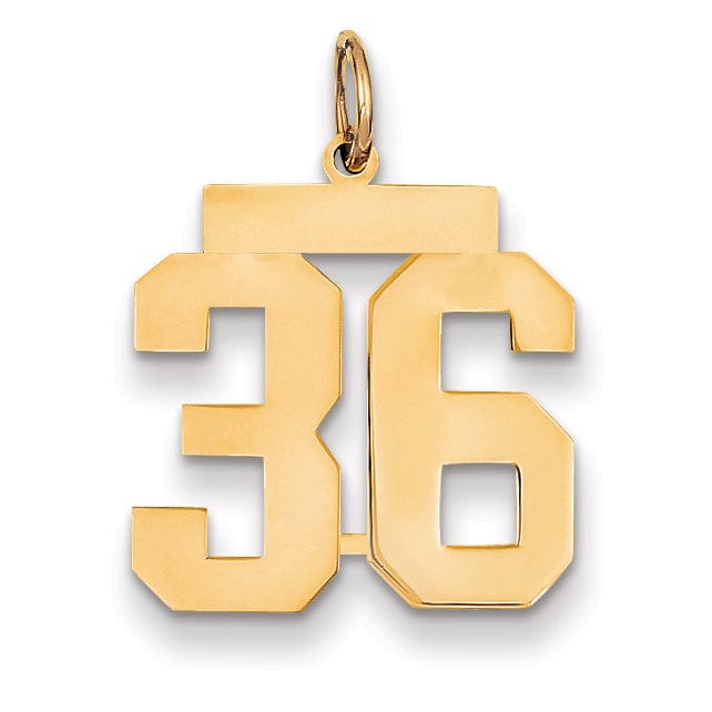 14K Yellow Gold Polished Finish Medium Size Number 36 Charm Pendant