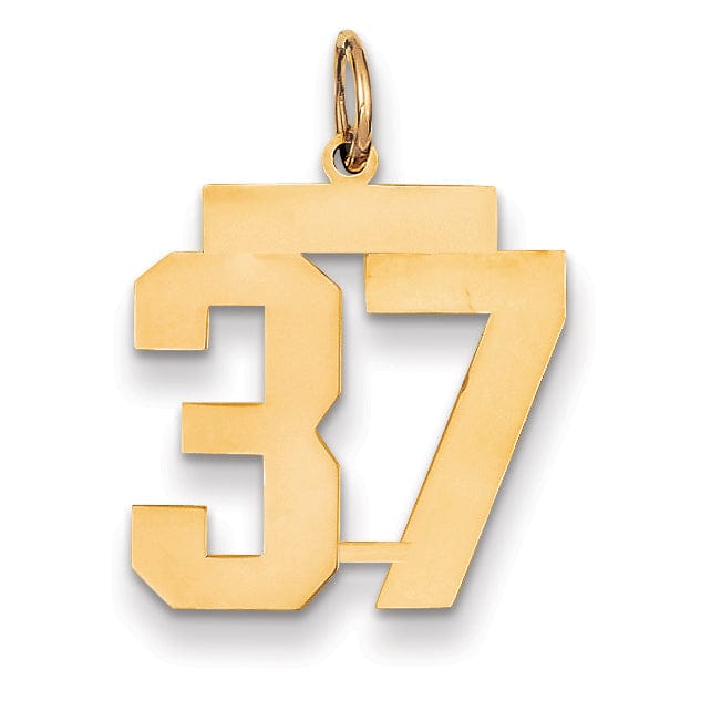 14K Yellow Gold Polished Finish Medium Size Number 37 Charm Pendant