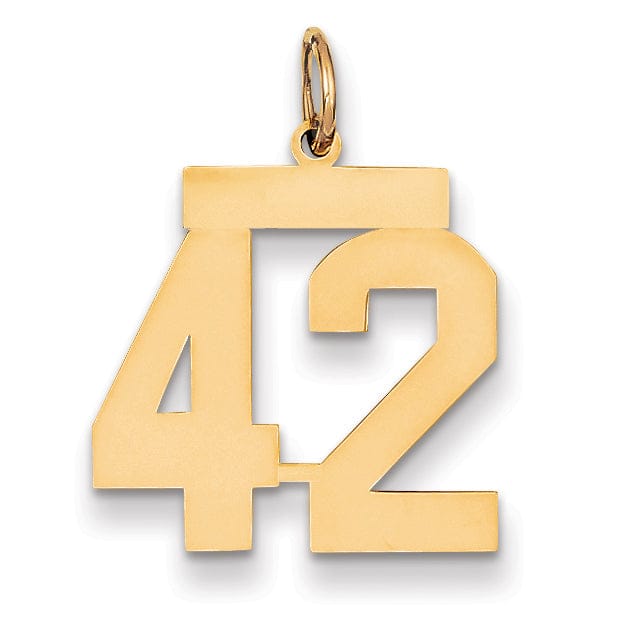 14K Yellow Gold Polished Finish Medium Size Number 42 Charm Pendant