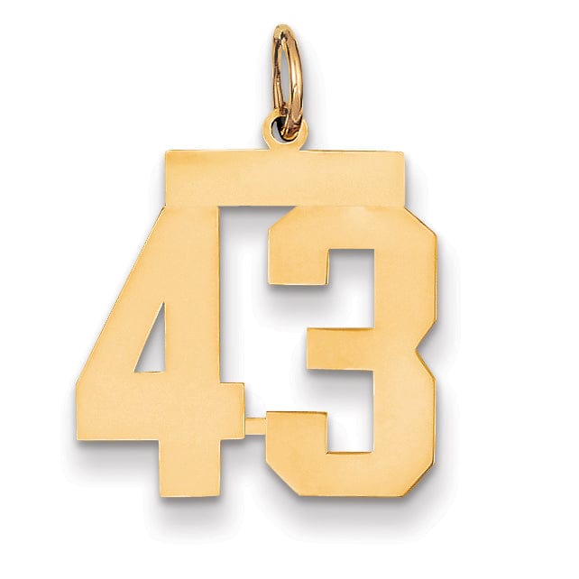 14K Yellow Gold Polished Finish Medium Size Number 43 Charm Pendant