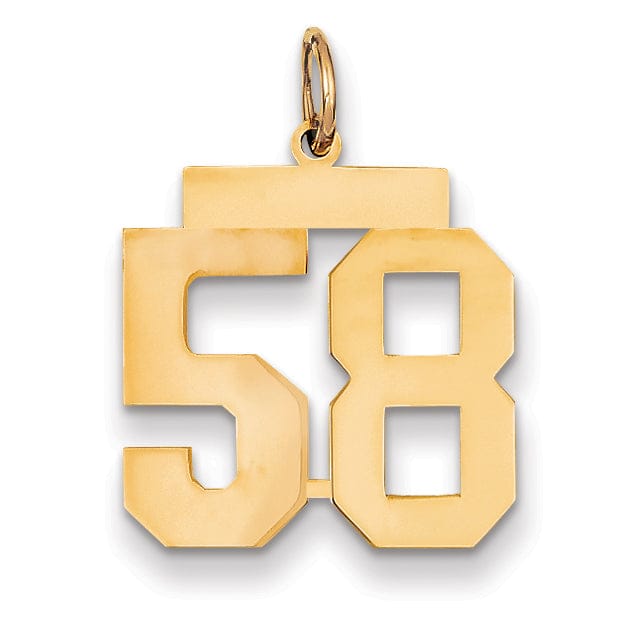 14K Yellow Gold Polished Finish Medium Size Number 58 Charm Pendant