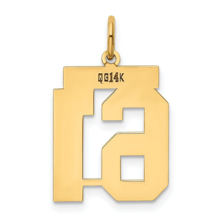 14K Yellow Gold Polished Finish Medium Size Number 61 Charm Pendant