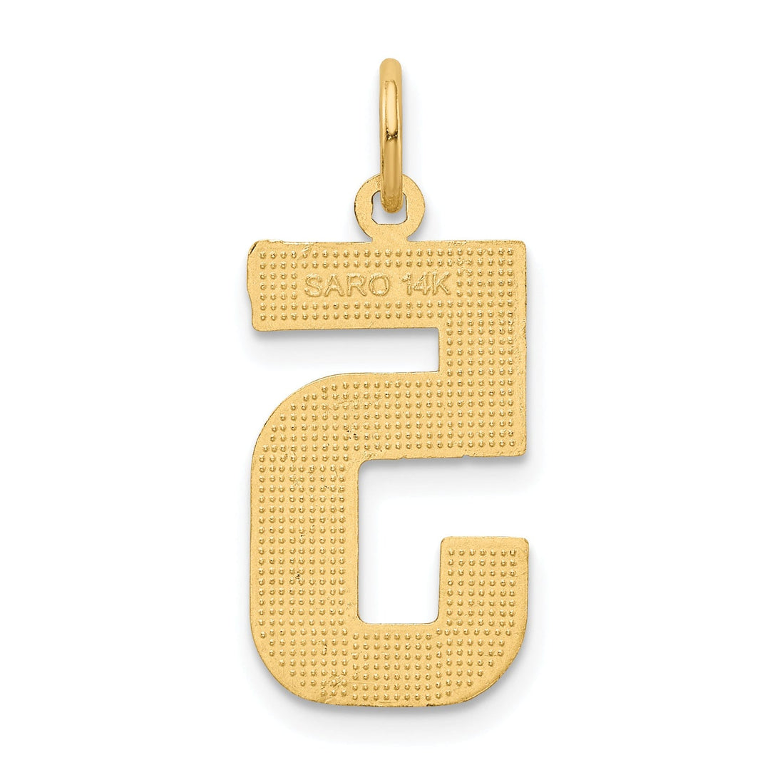 14k Yellow Gold Diamond Cut Texture Finish Large Size Number 5 Charm Pendant