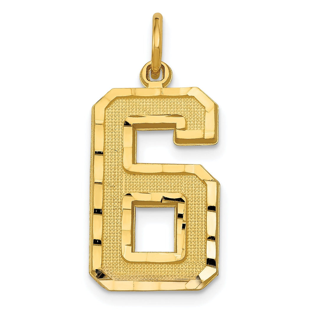 14k Yellow Gold Diamond Cut Texture Finish Large Size Number 6 Charm Pendant