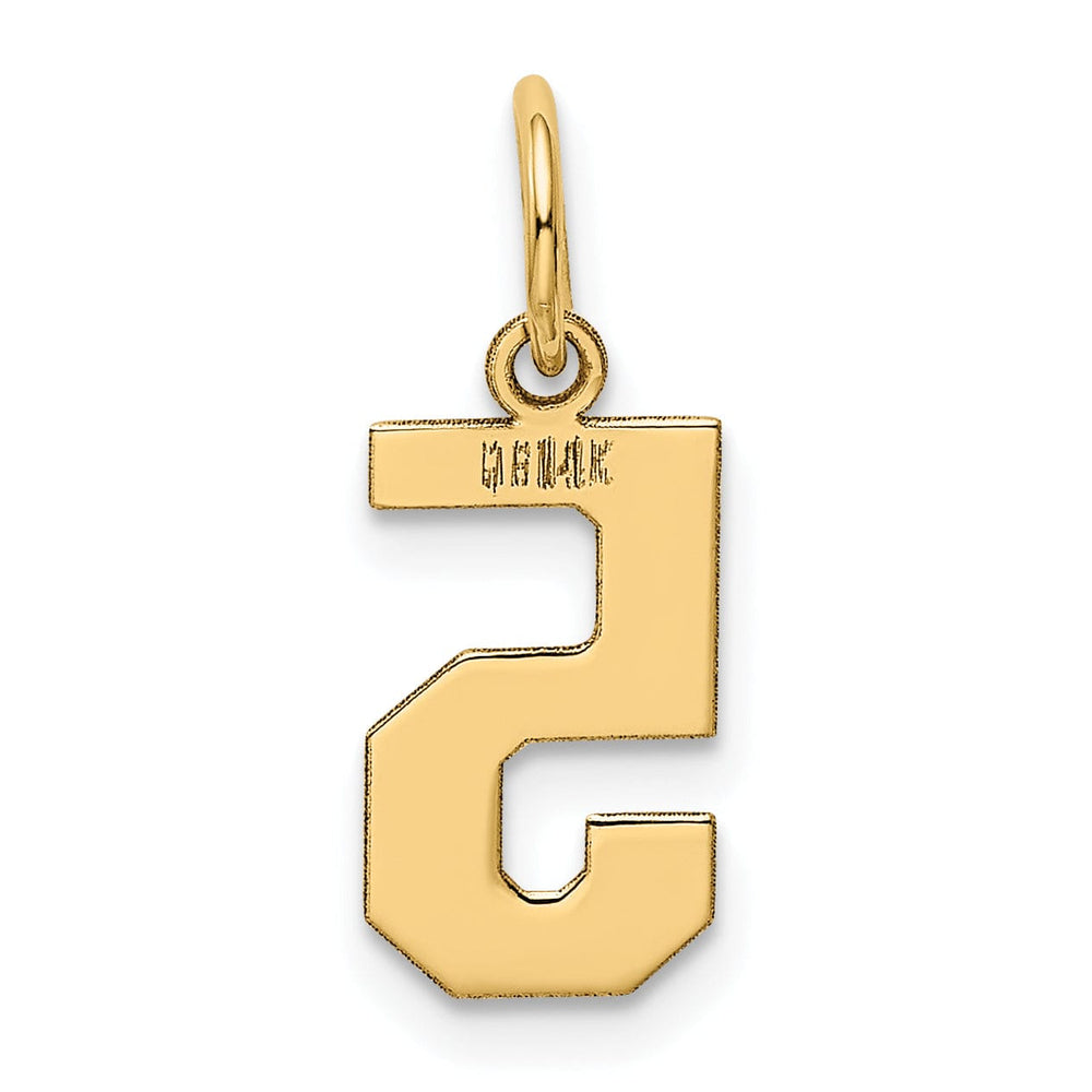 14k Yellow Gold Polished Finish Small Size Number 5 Charm Pendant