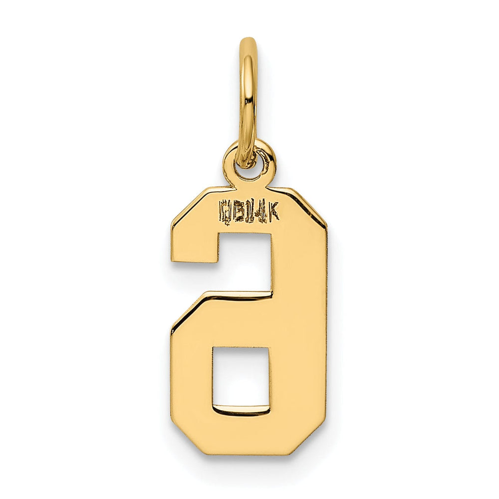 14k Yellow Gold Polished Finish Small Size Number 6 Charm Pendant
