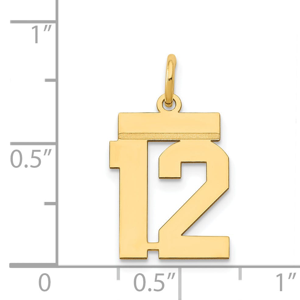 14k Yellow Gold Polished Finish Small Size Number 12 Charm Pendant