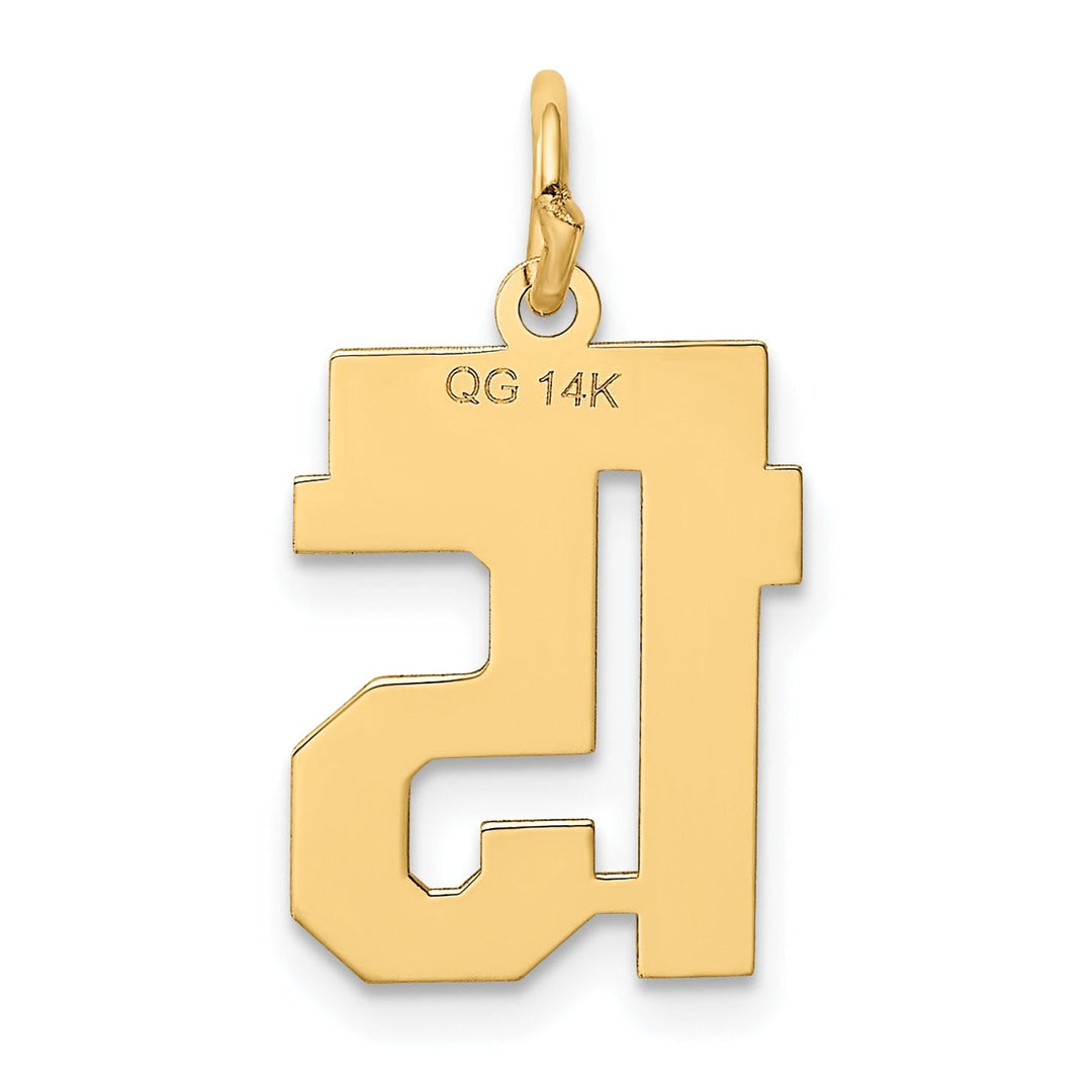 14k Yellow Gold Polished Finish Small Size Number 15 Charm Pendant