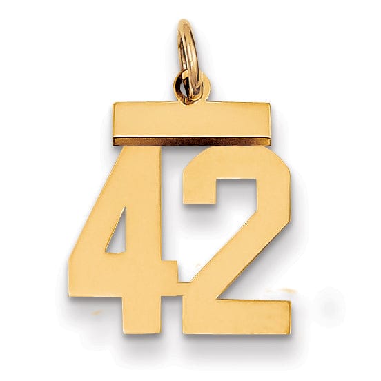 14k Yellow Gold Polished Finish Small Size Number 42 Charm Pendant
