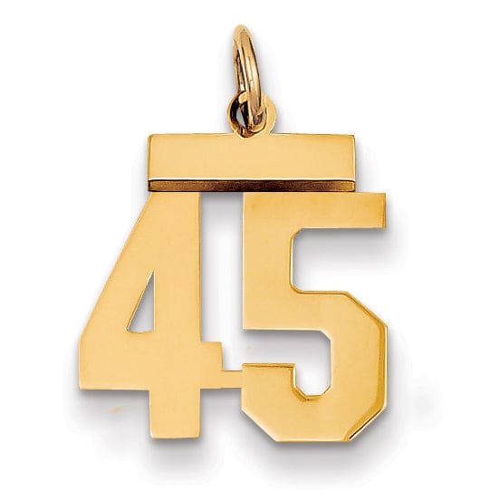 14k Yellow Gold Polished Finish Small Size Number 45 Charm Pendant