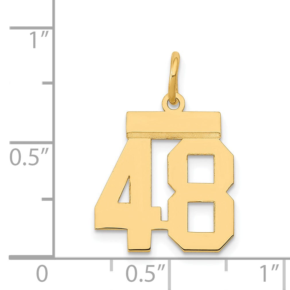 14k Yellow Gold Polished Finish Small Size Number 48 Charm Pendant