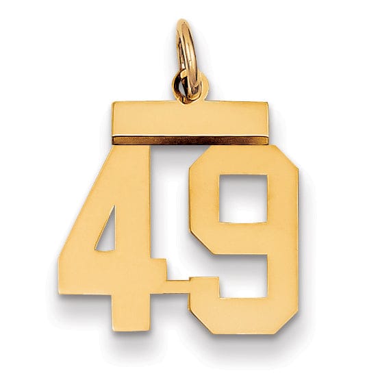14k Yellow Gold Polished Finish Small Size Number 49 Charm Pendant