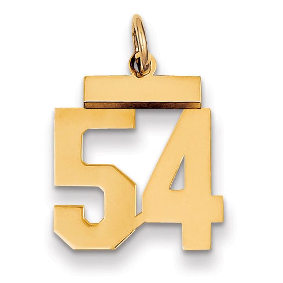 14k Yellow Gold Polished Finish Small Size Number 54 Charm Pendant
