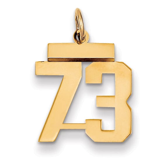14k Yellow Gold Polished Finish Small Size Number 73 Charm Pendant