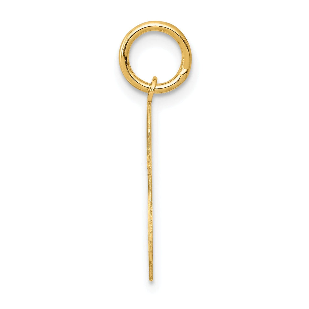 14k Yellow Gold Satin Brush Finish Medium Size Number 6 Charm Pendant